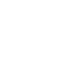 logo white